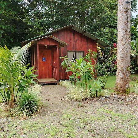 Citronela Lodge Corcovado Drakes Bay Exteriér fotografie