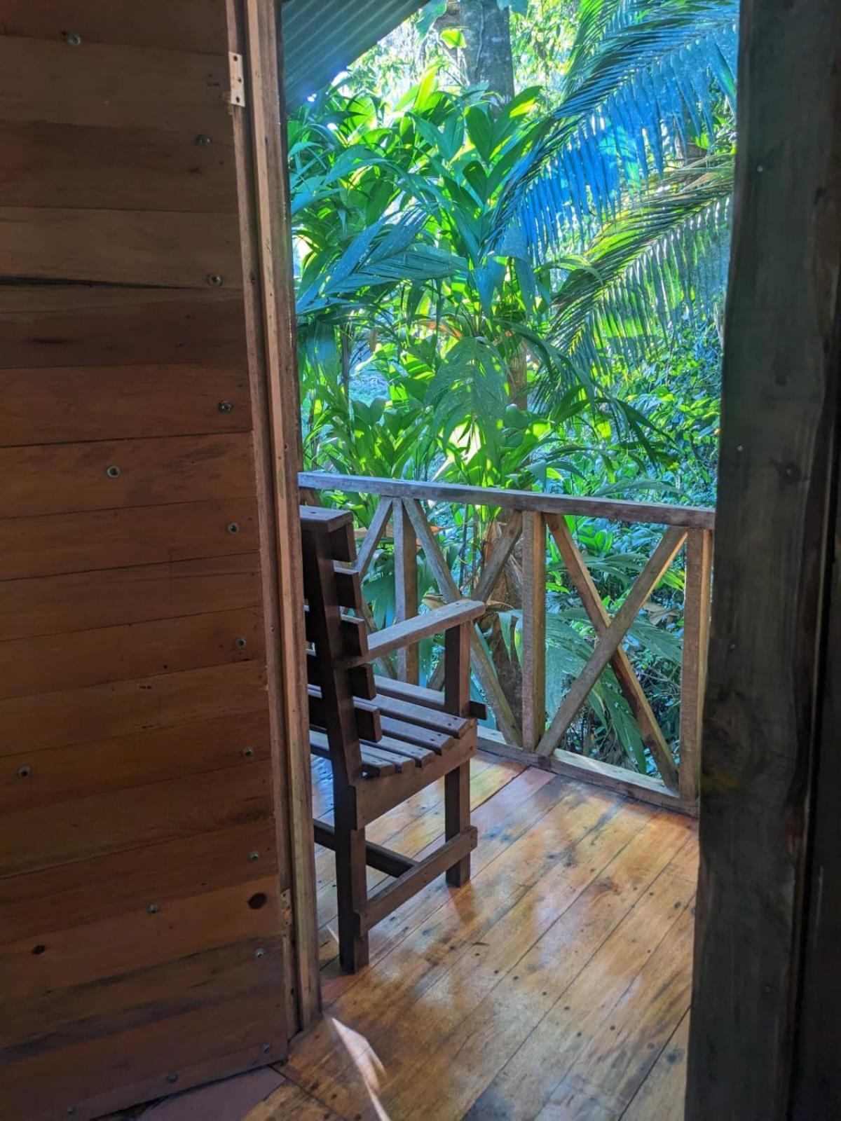 Citronela Lodge Corcovado Drakes Bay Exteriér fotografie