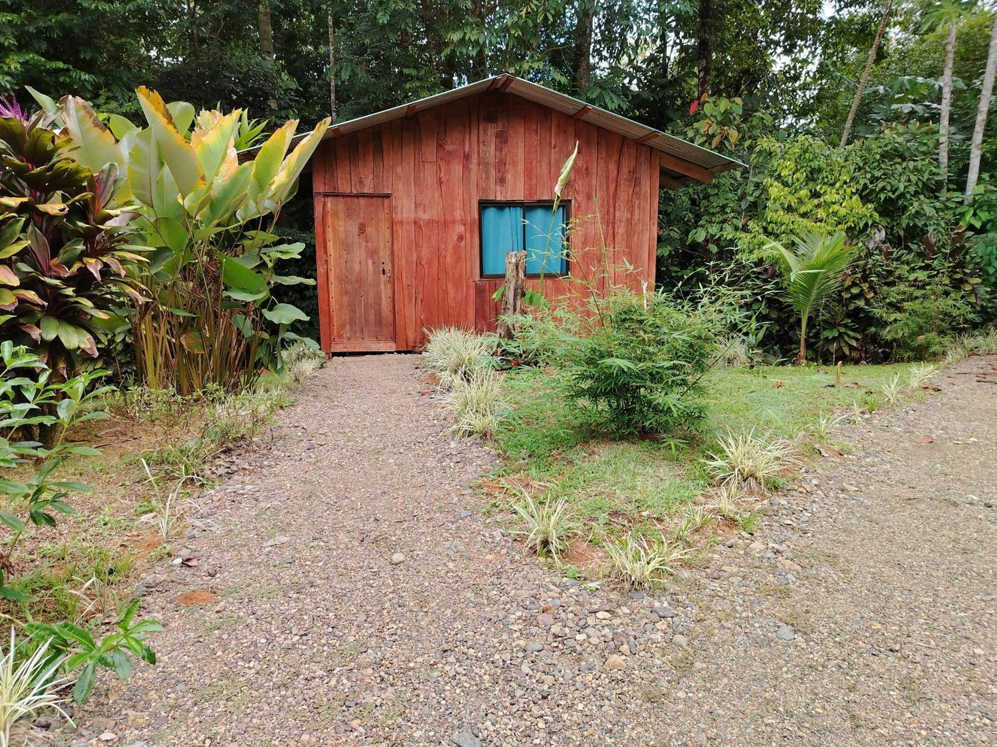 Citronela Lodge Corcovado Drakes Bay Exteriér fotografie