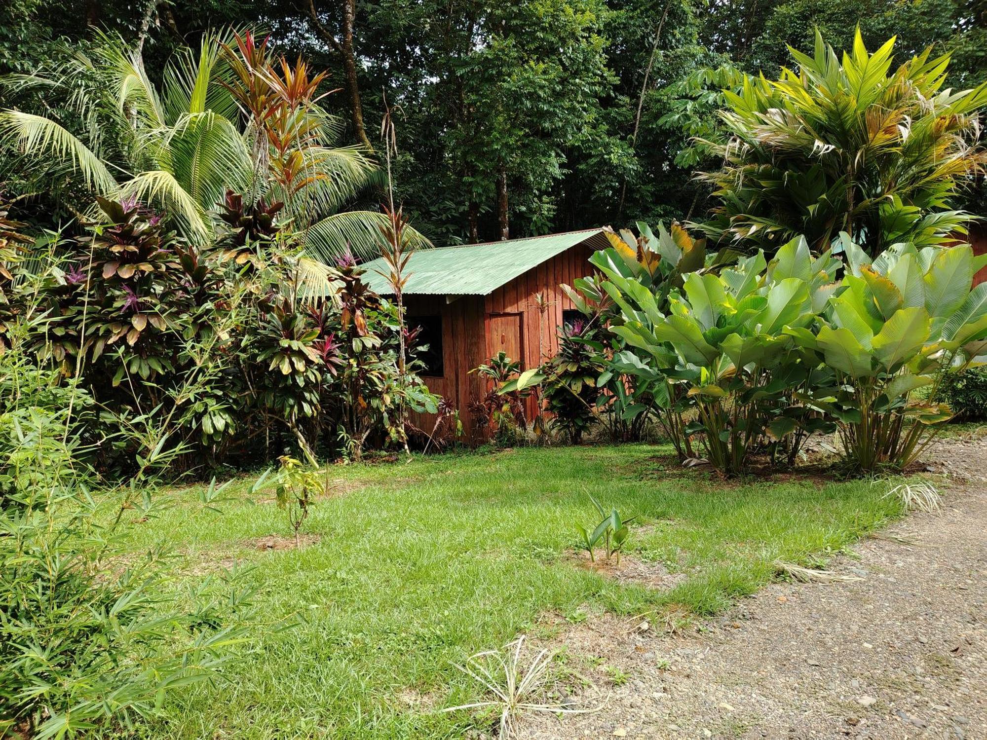 Citronela Lodge Corcovado Drakes Bay Exteriér fotografie