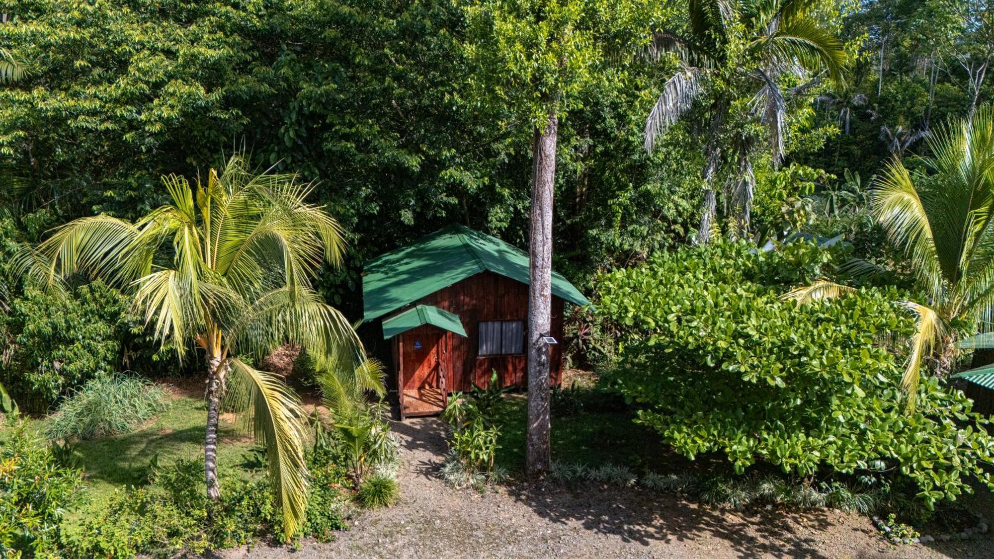 Citronela Lodge Corcovado Drakes Bay Exteriér fotografie