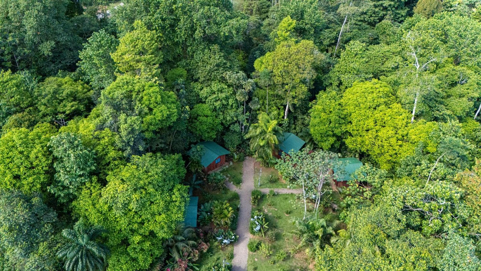 Citronela Lodge Corcovado Drakes Bay Exteriér fotografie