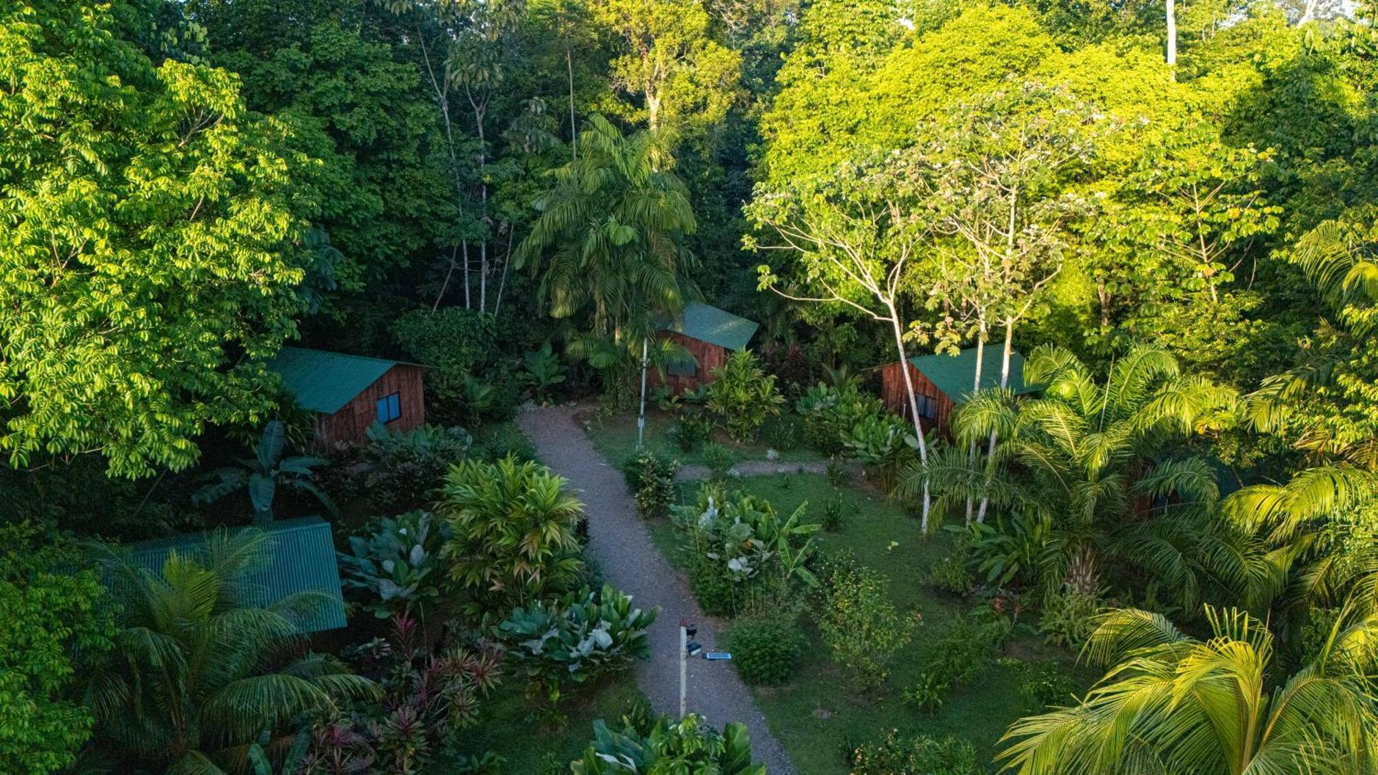 Citronela Lodge Corcovado Drakes Bay Exteriér fotografie