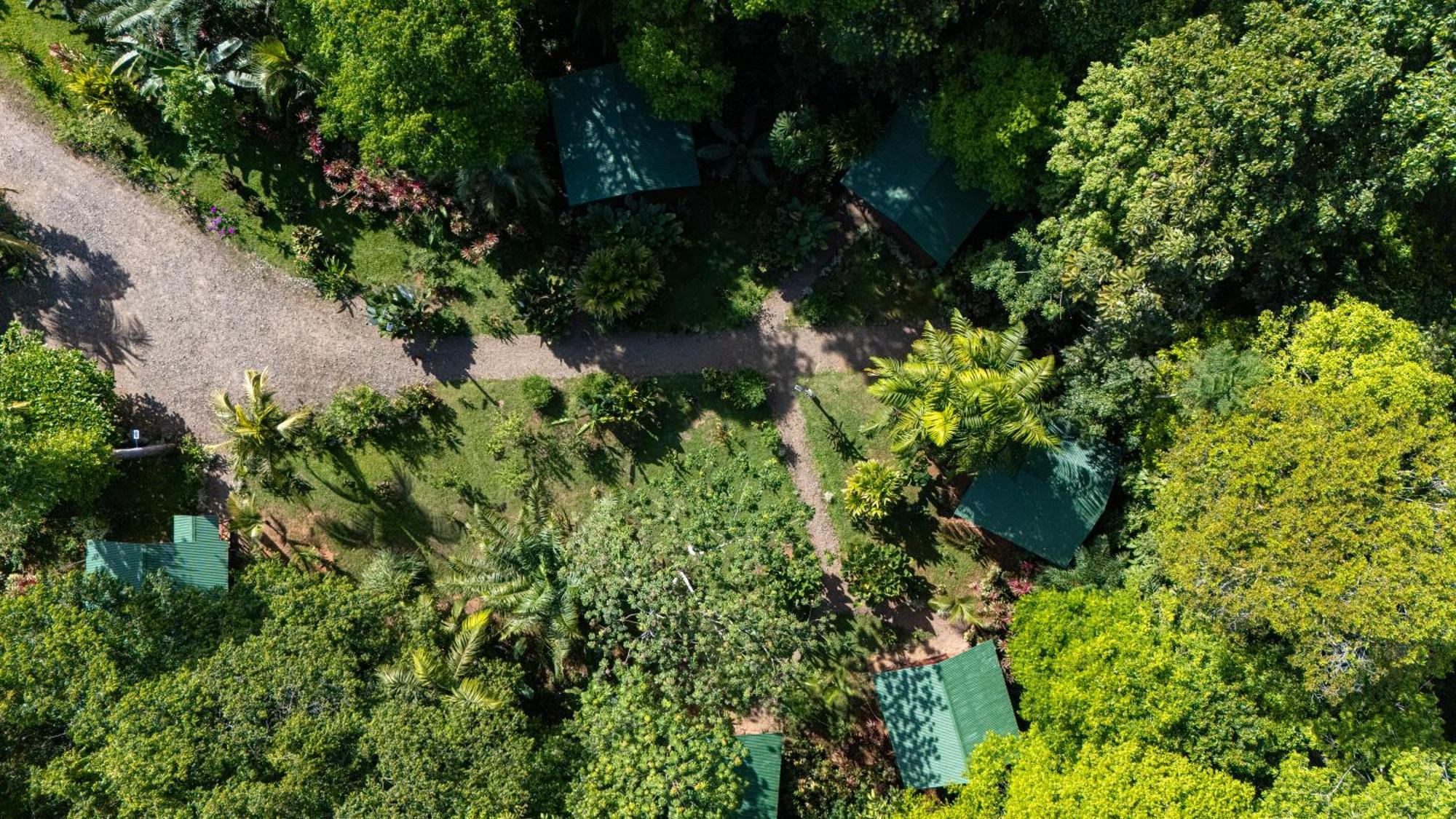 Citronela Lodge Corcovado Drakes Bay Exteriér fotografie