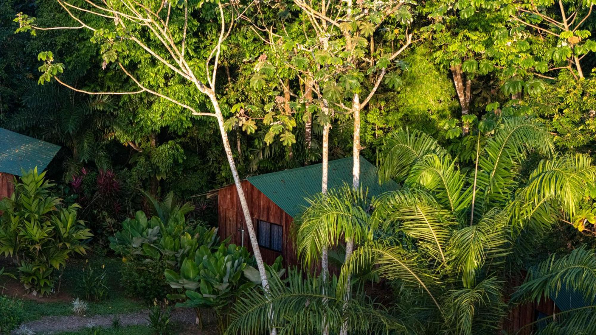 Citronela Lodge Corcovado Drakes Bay Exteriér fotografie