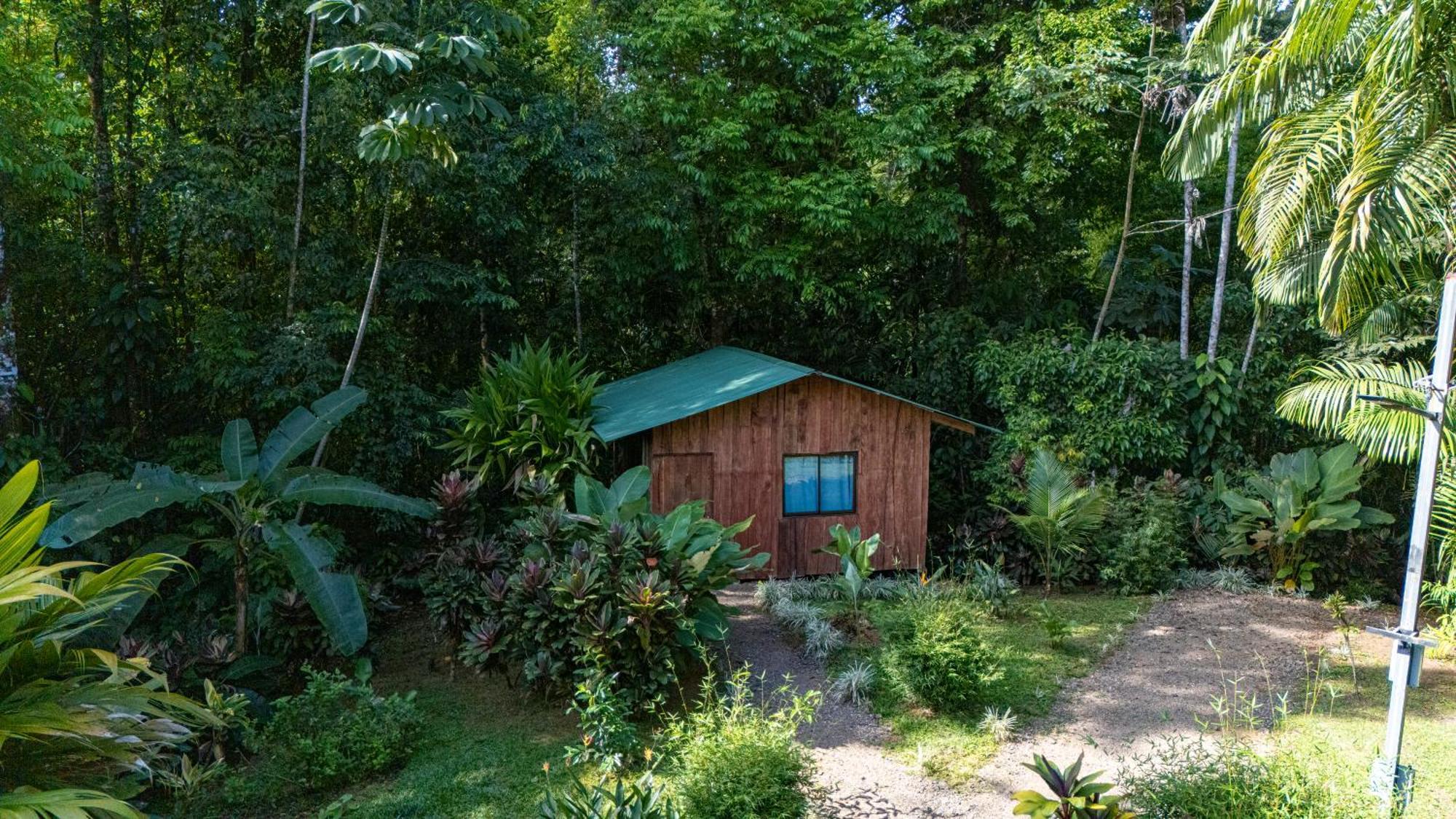 Citronela Lodge Corcovado Drakes Bay Exteriér fotografie