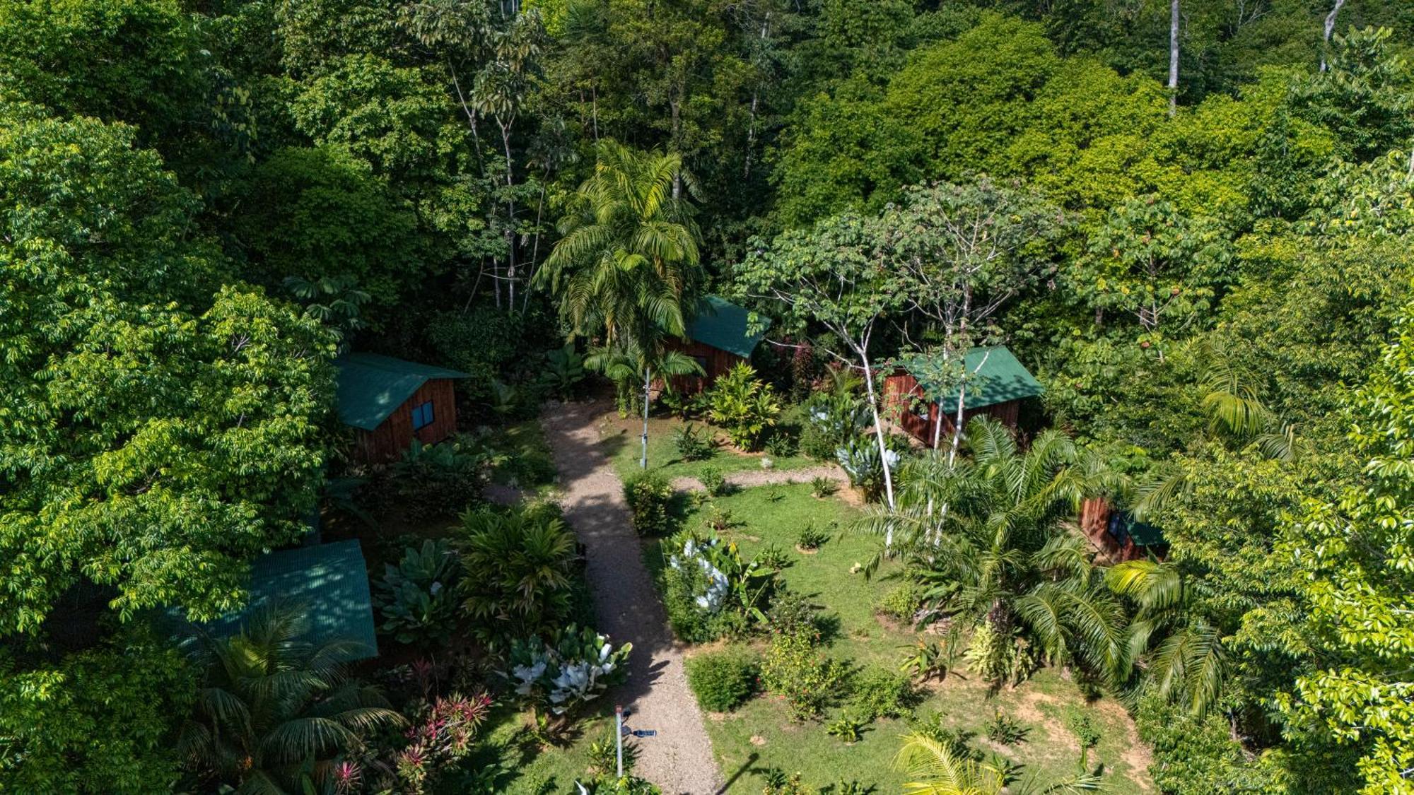 Citronela Lodge Corcovado Drakes Bay Exteriér fotografie