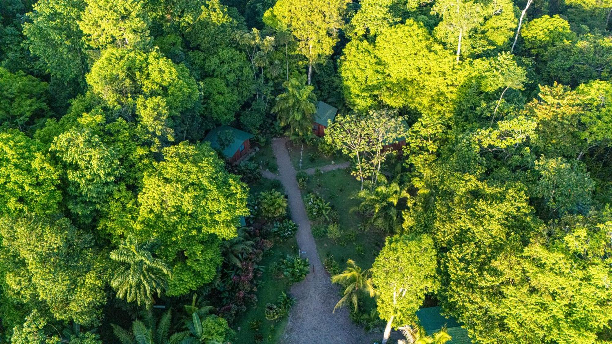 Citronela Lodge Corcovado Drakes Bay Exteriér fotografie