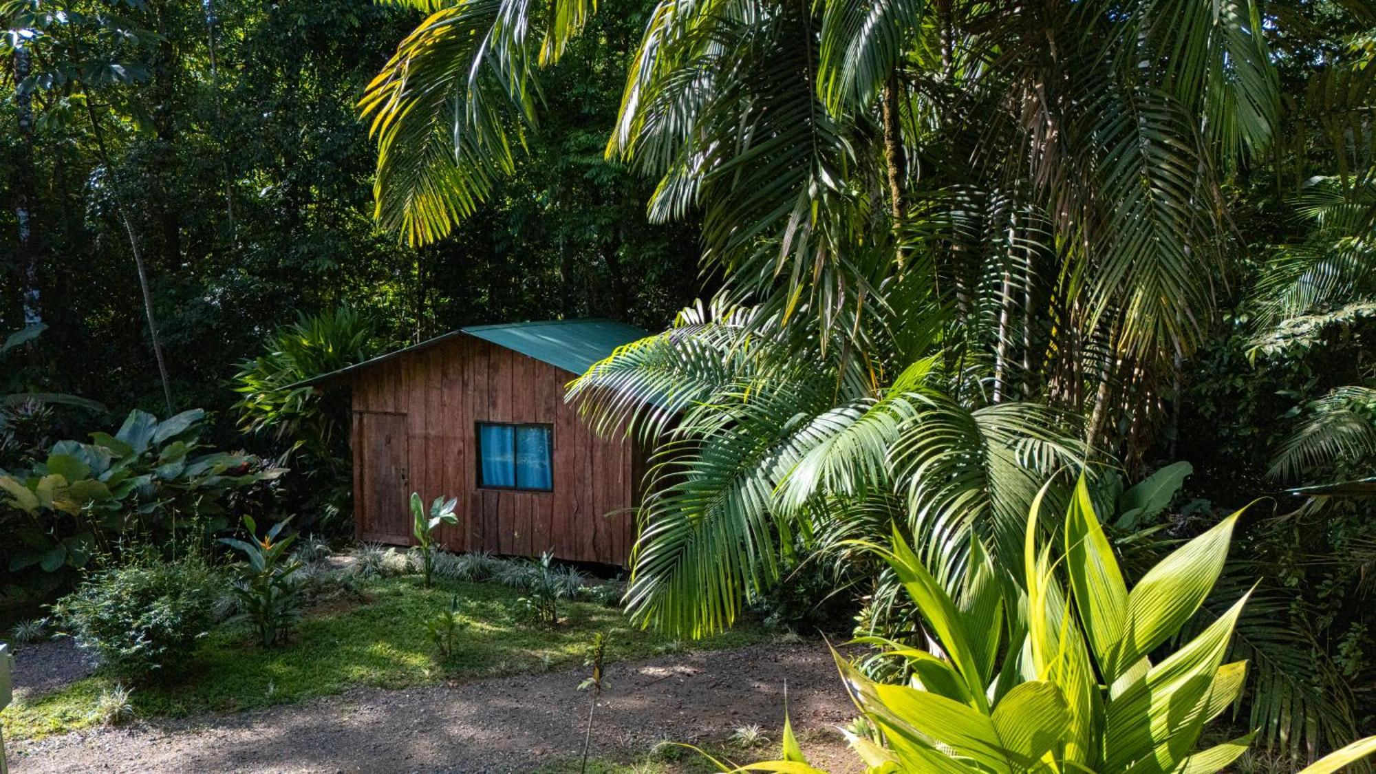 Citronela Lodge Corcovado Drakes Bay Exteriér fotografie