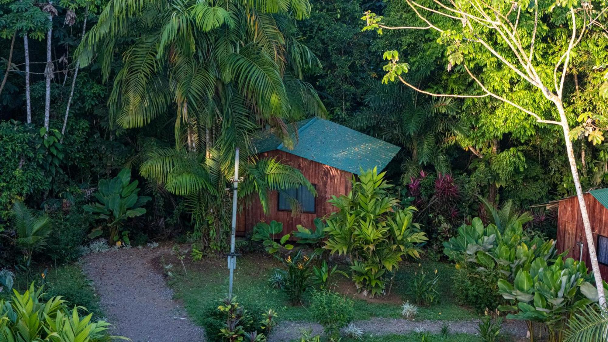 Citronela Lodge Corcovado Drakes Bay Exteriér fotografie
