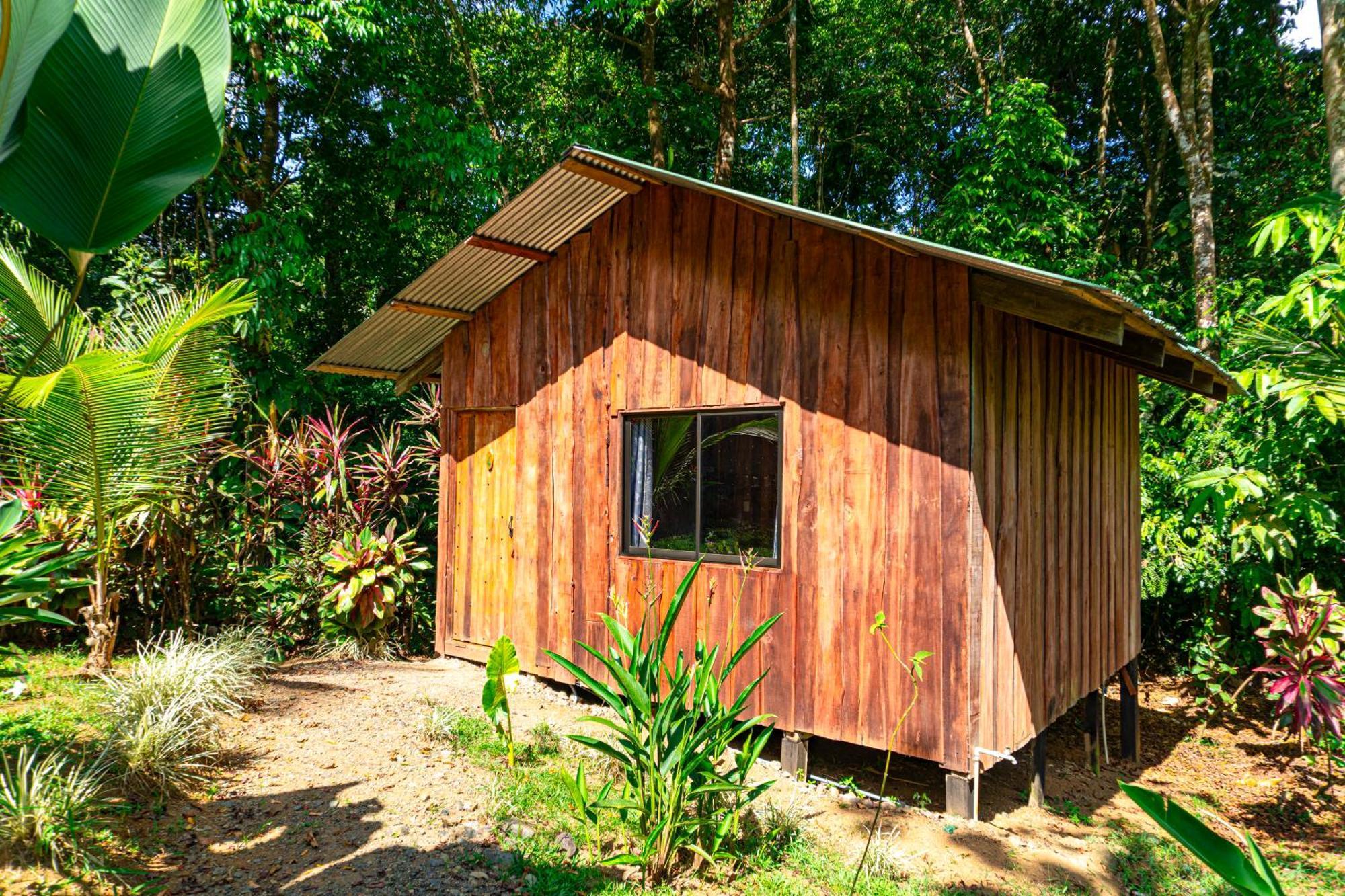 Citronela Lodge Corcovado Drakes Bay Exteriér fotografie