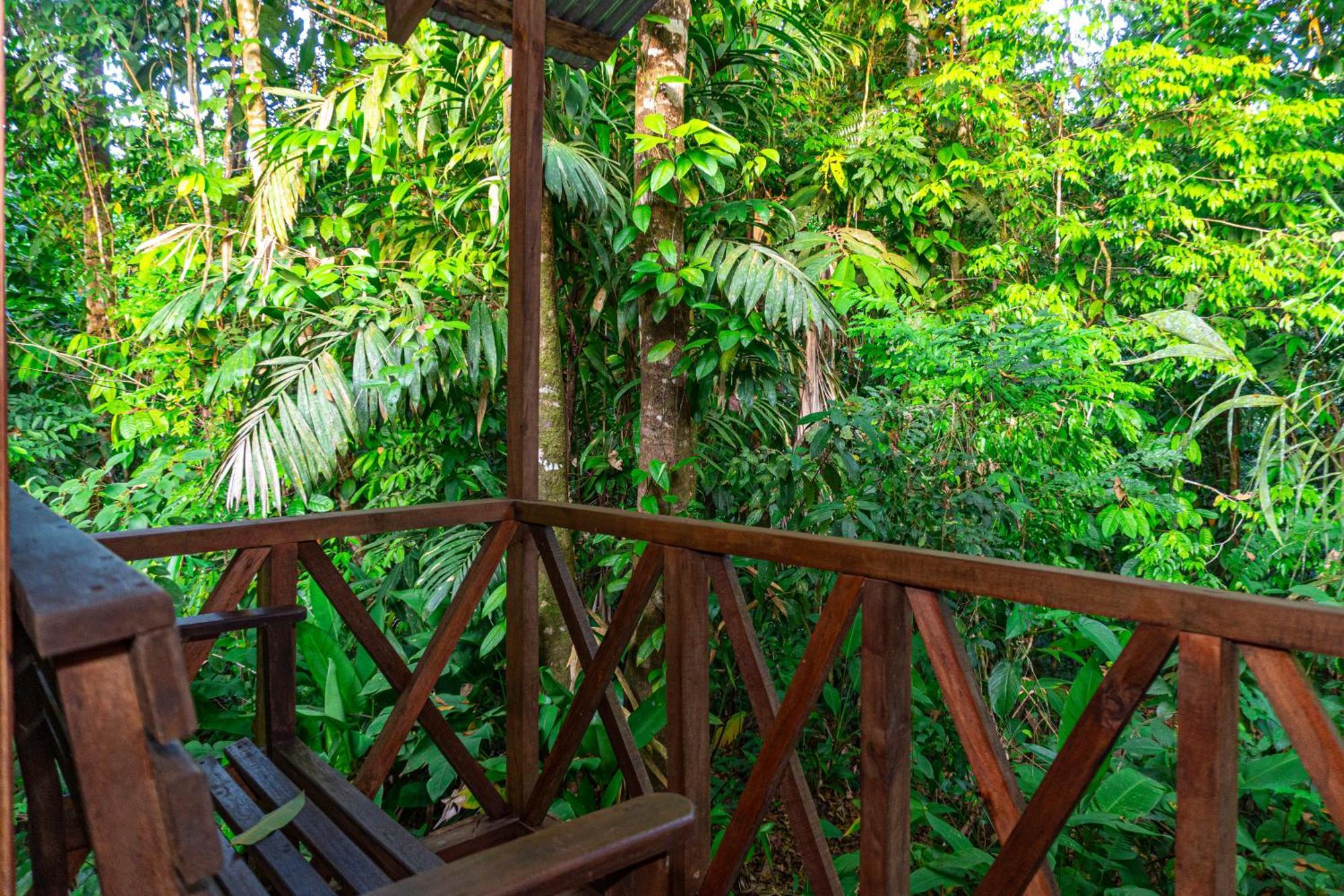Citronela Lodge Corcovado Drakes Bay Exteriér fotografie
