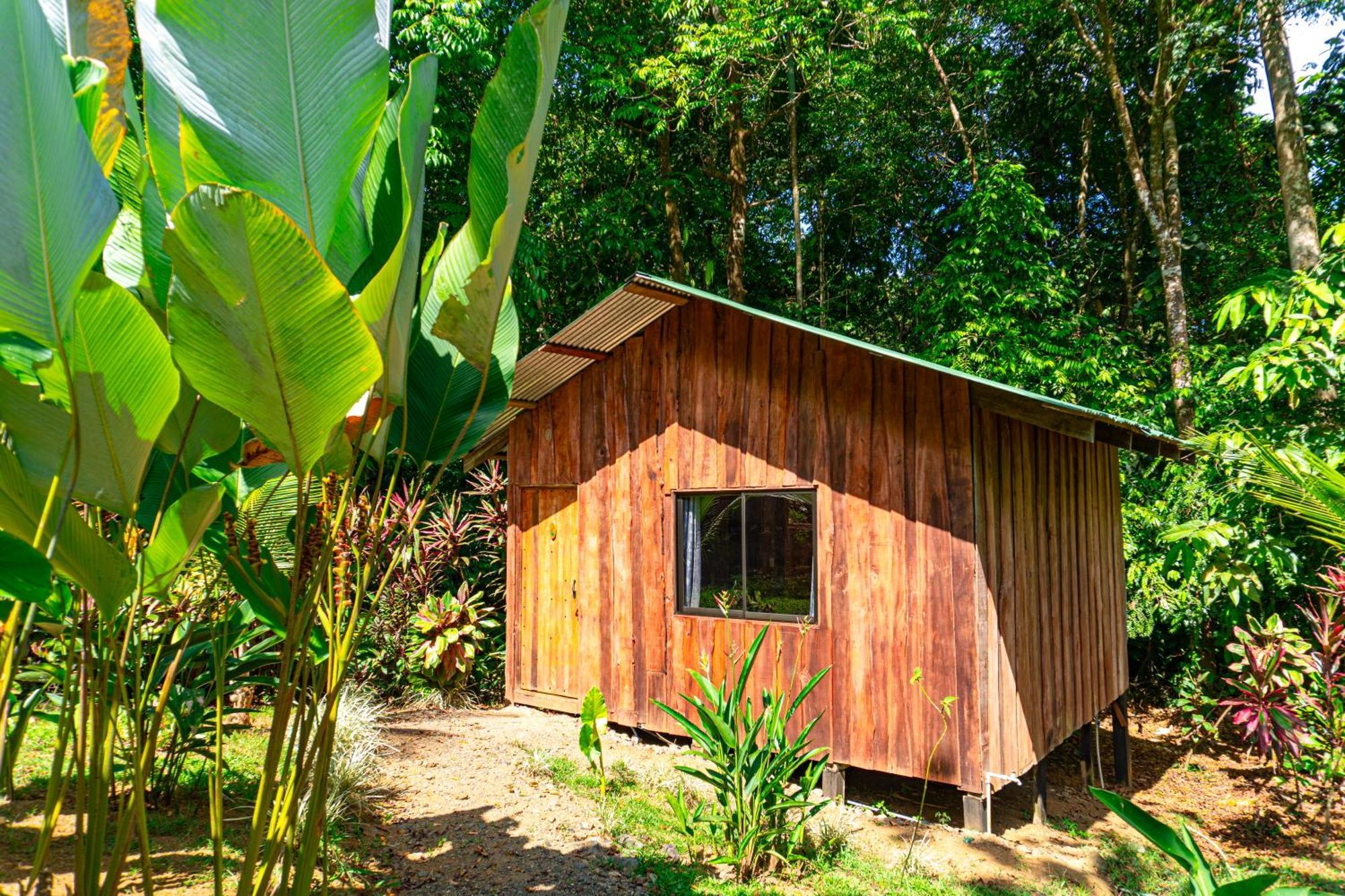 Citronela Lodge Corcovado Drakes Bay Exteriér fotografie