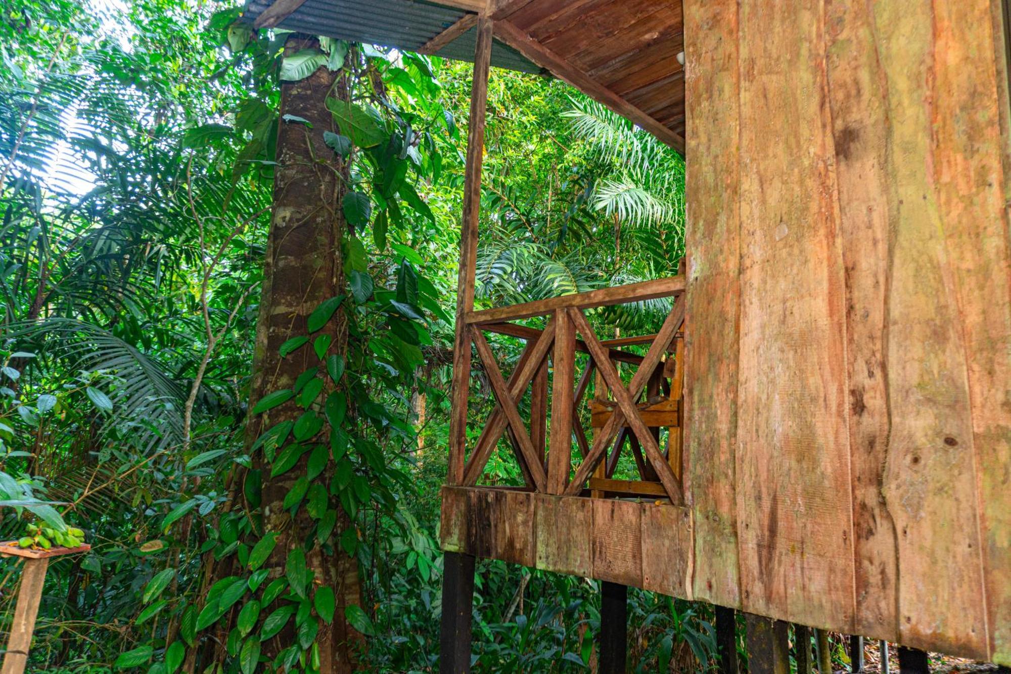 Citronela Lodge Corcovado Drakes Bay Exteriér fotografie