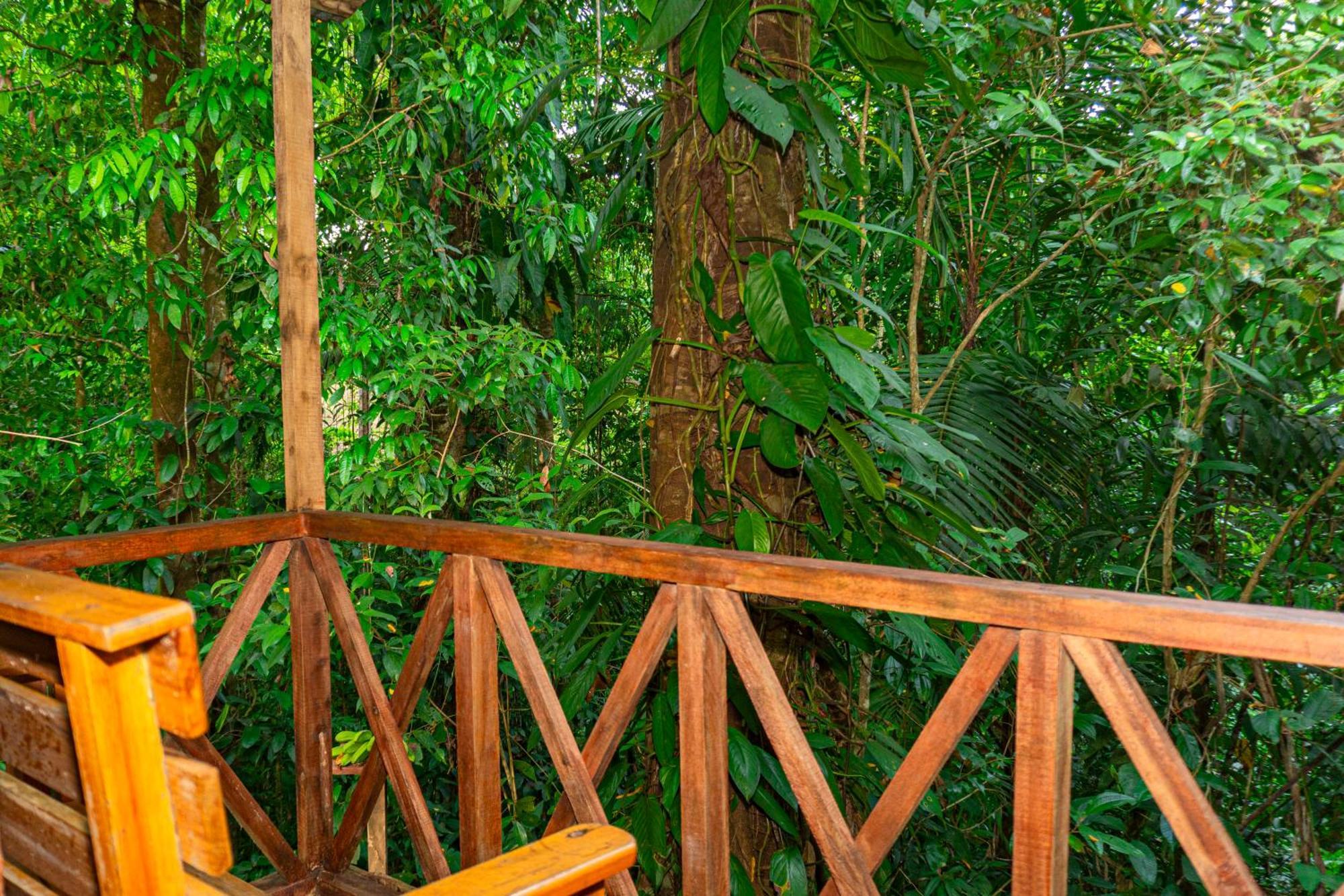 Citronela Lodge Corcovado Drakes Bay Exteriér fotografie