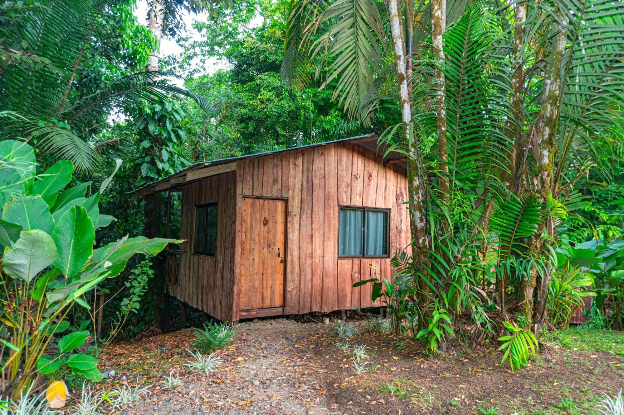 Citronela Lodge Corcovado Drakes Bay Exteriér fotografie