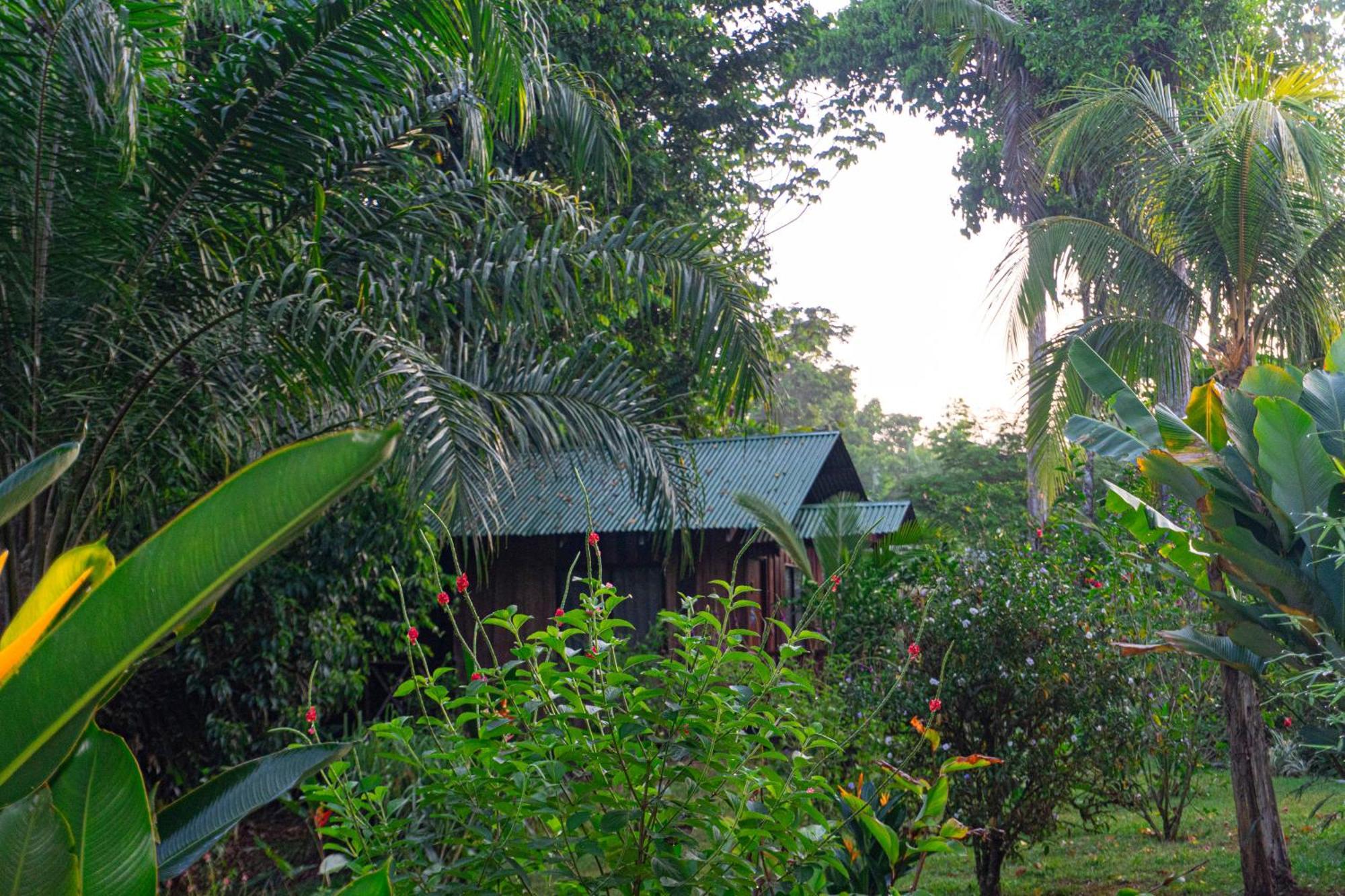 Citronela Lodge Corcovado Drakes Bay Exteriér fotografie