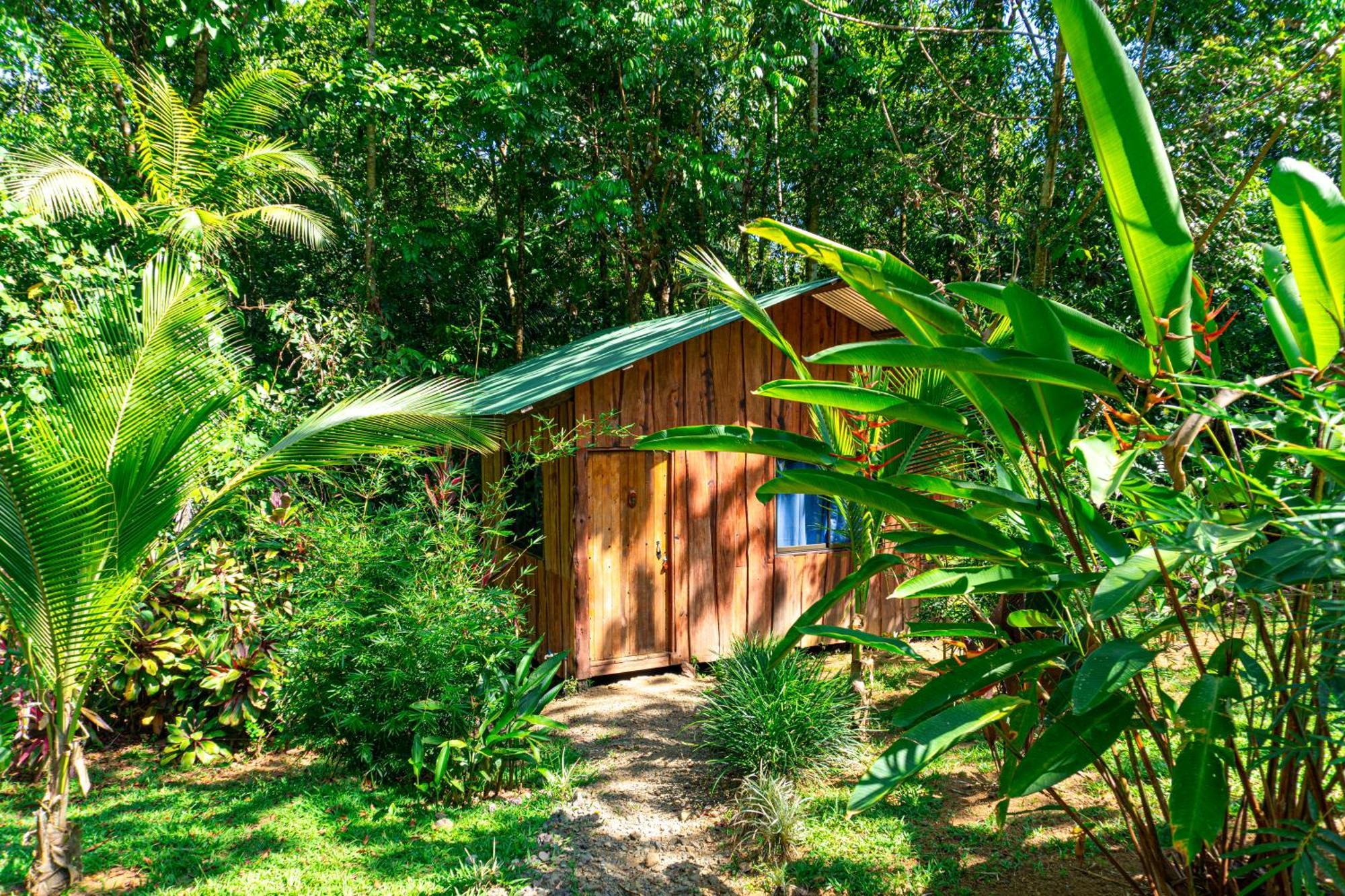 Citronela Lodge Corcovado Drakes Bay Exteriér fotografie
