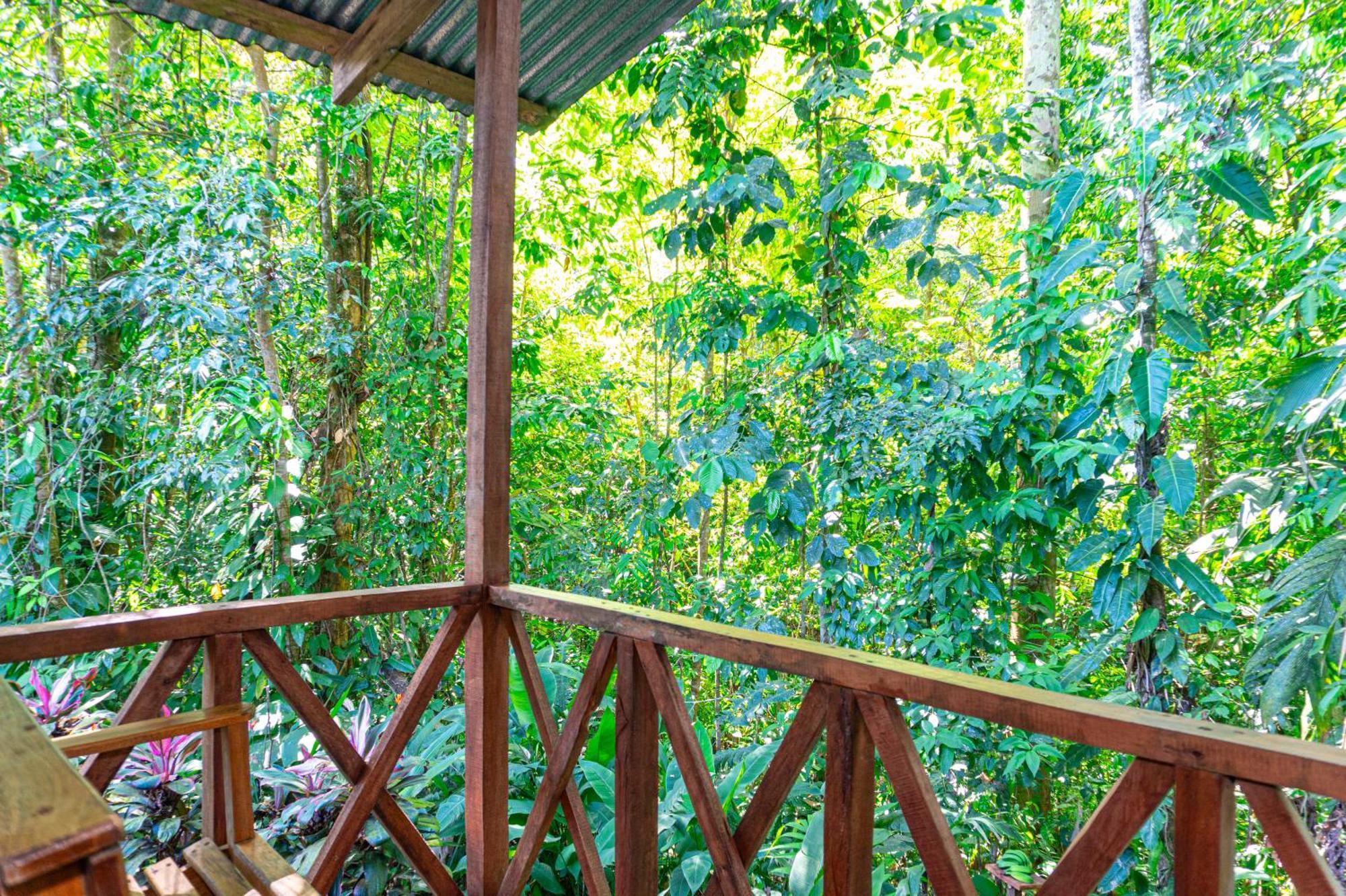 Citronela Lodge Corcovado Drakes Bay Exteriér fotografie