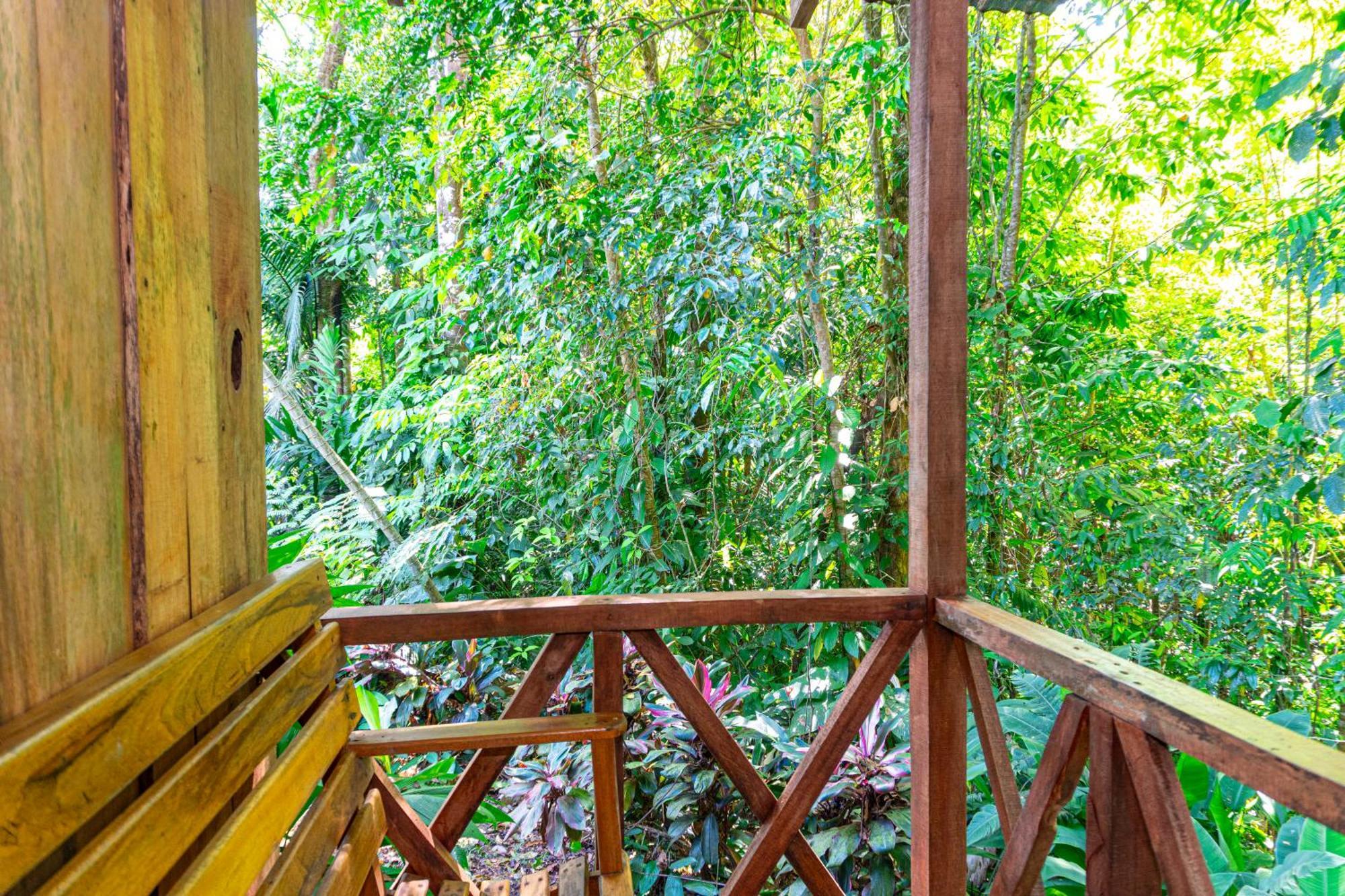 Citronela Lodge Corcovado Drakes Bay Exteriér fotografie
