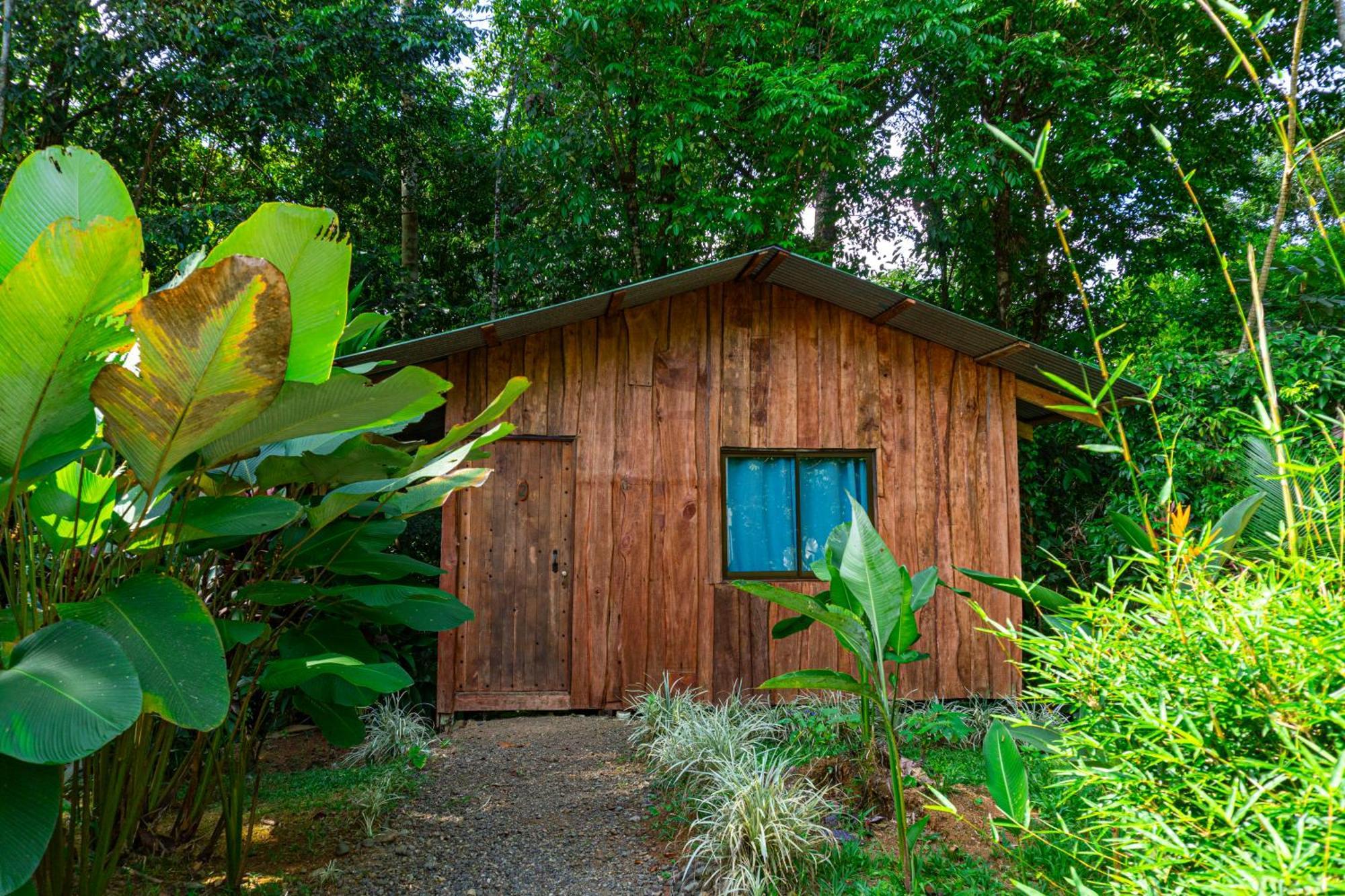 Citronela Lodge Corcovado Drakes Bay Exteriér fotografie