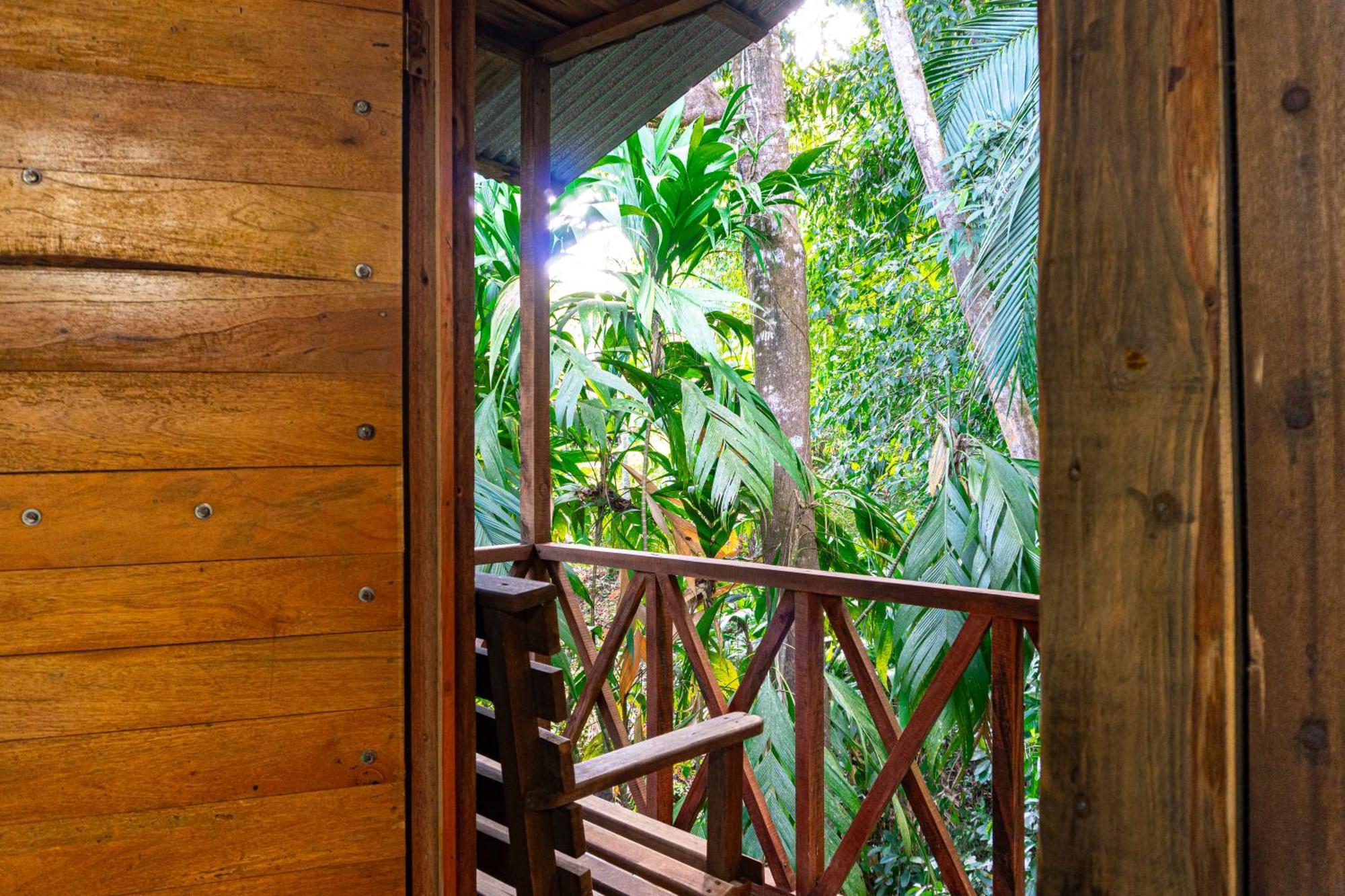 Citronela Lodge Corcovado Drakes Bay Exteriér fotografie