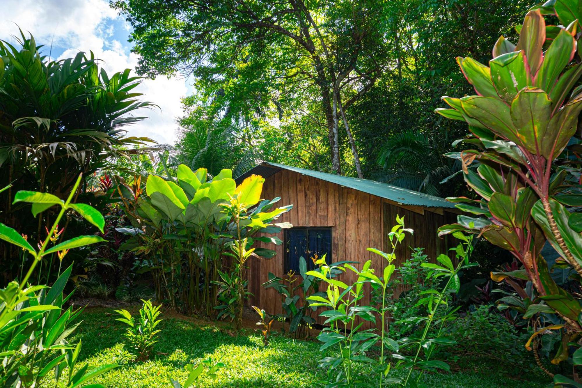 Citronela Lodge Corcovado Drakes Bay Exteriér fotografie