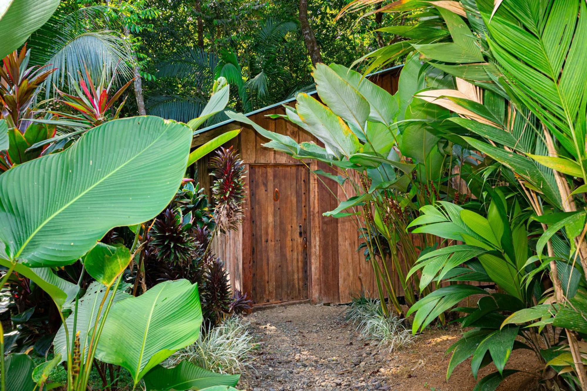 Citronela Lodge Corcovado Drakes Bay Exteriér fotografie