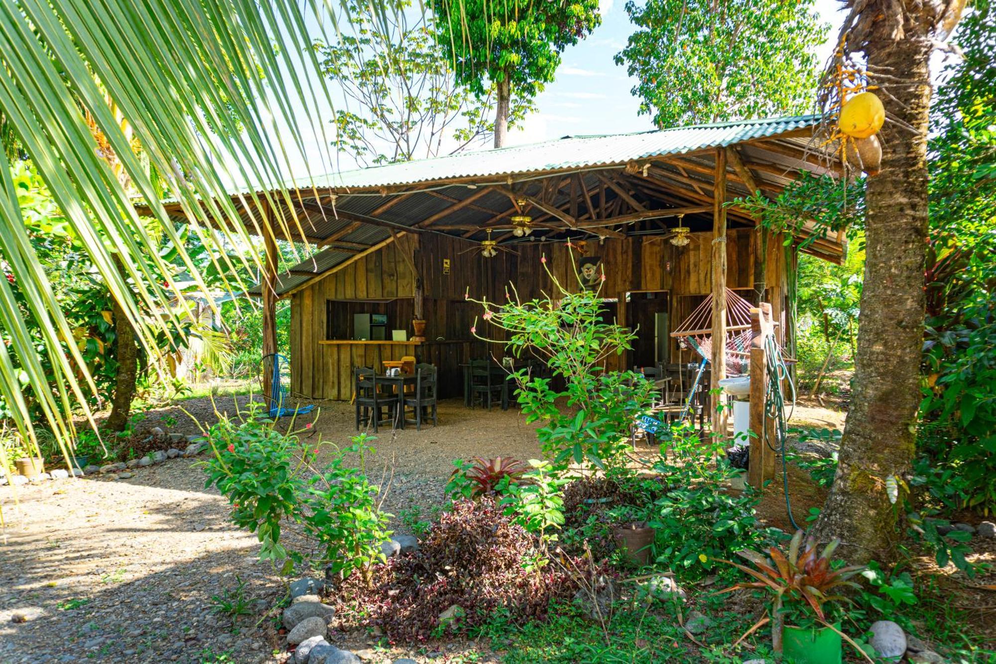 Citronela Lodge Corcovado Drakes Bay Exteriér fotografie