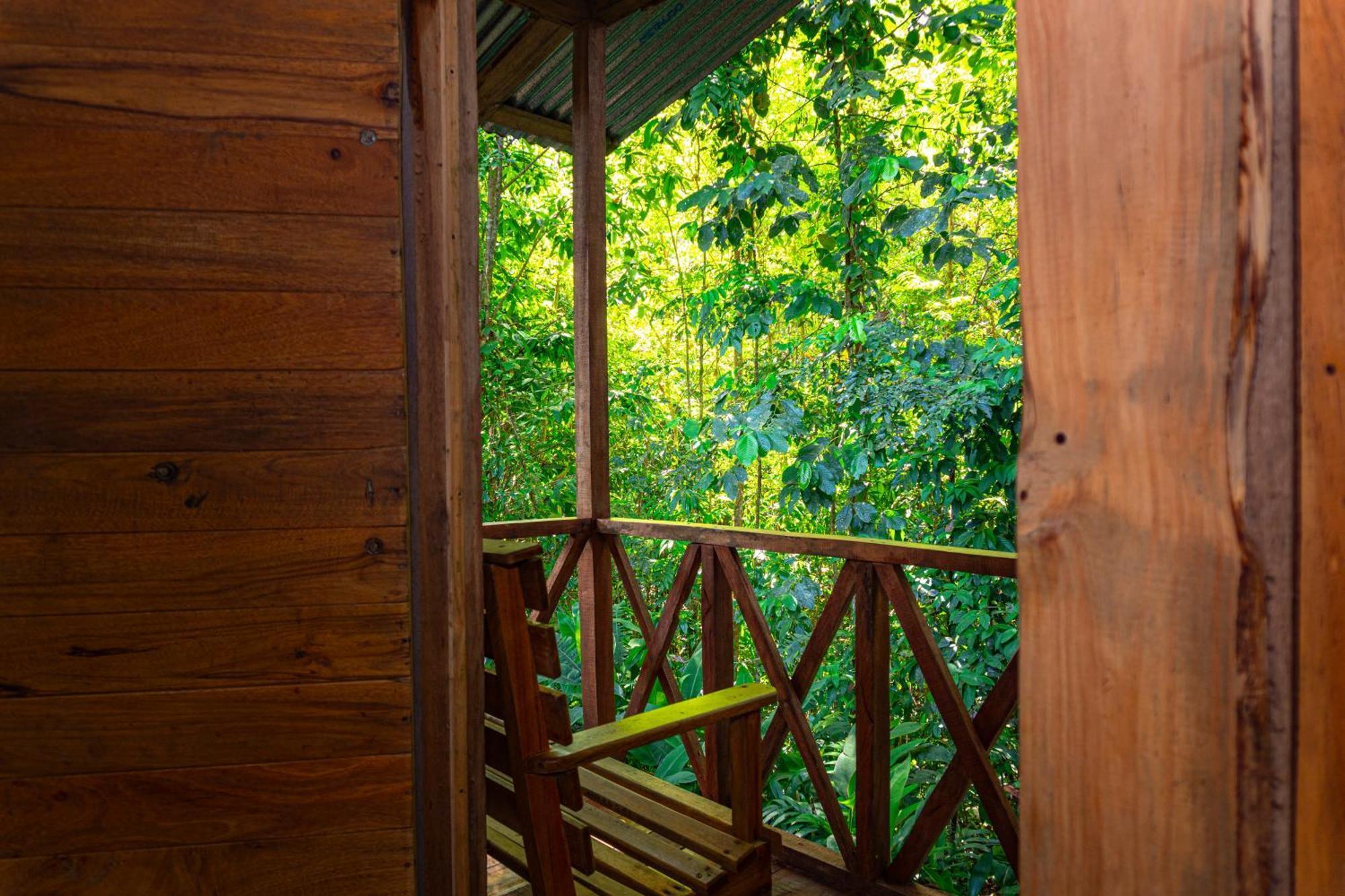 Citronela Lodge Corcovado Drakes Bay Exteriér fotografie
