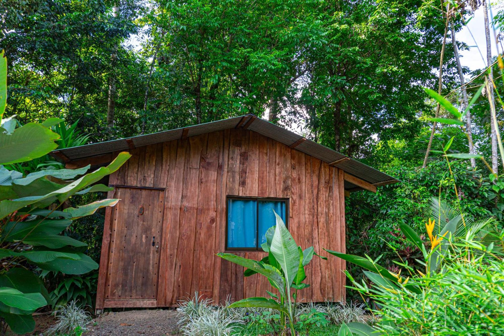 Citronela Lodge Corcovado Drakes Bay Exteriér fotografie