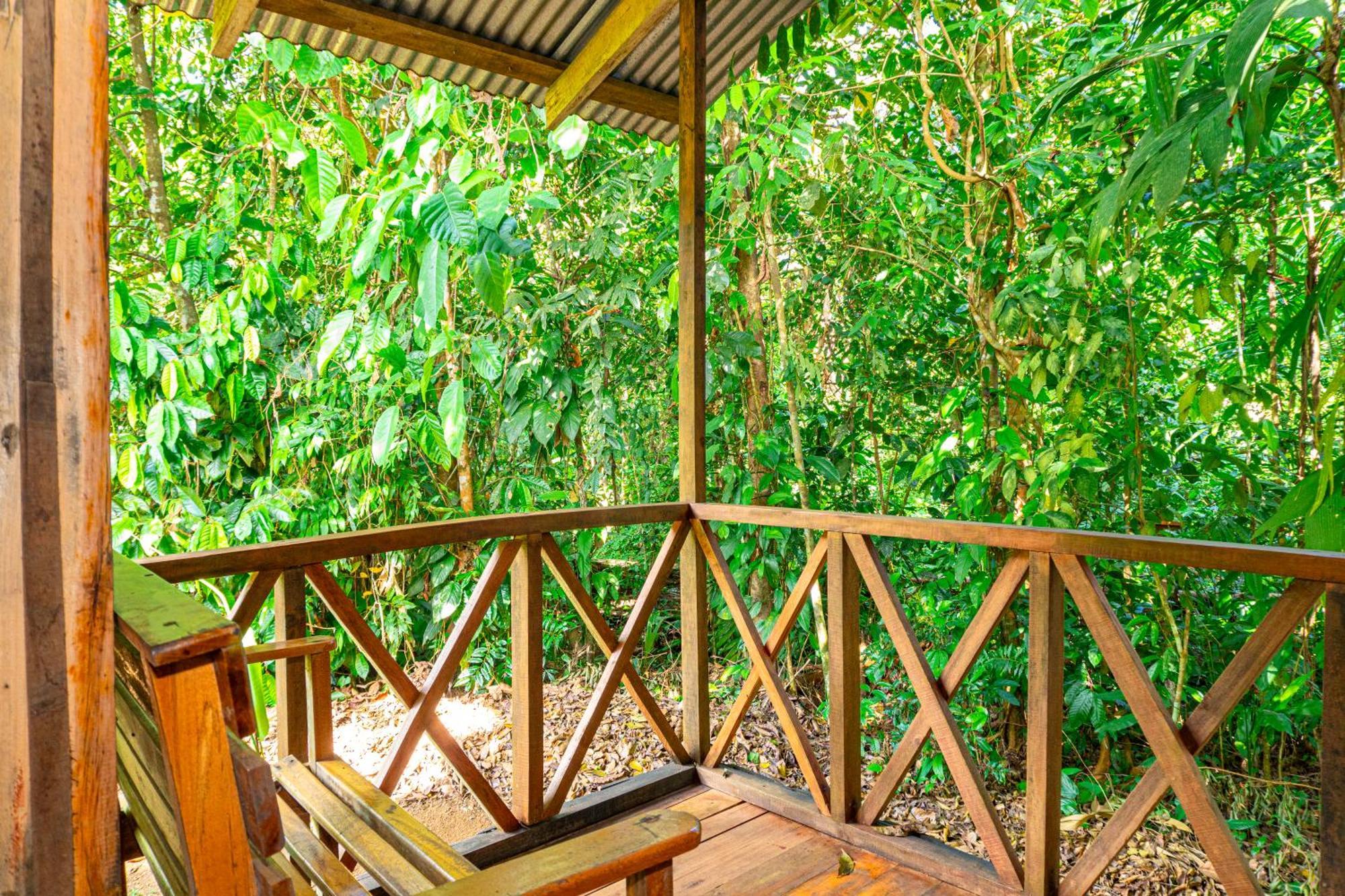 Citronela Lodge Corcovado Drakes Bay Exteriér fotografie